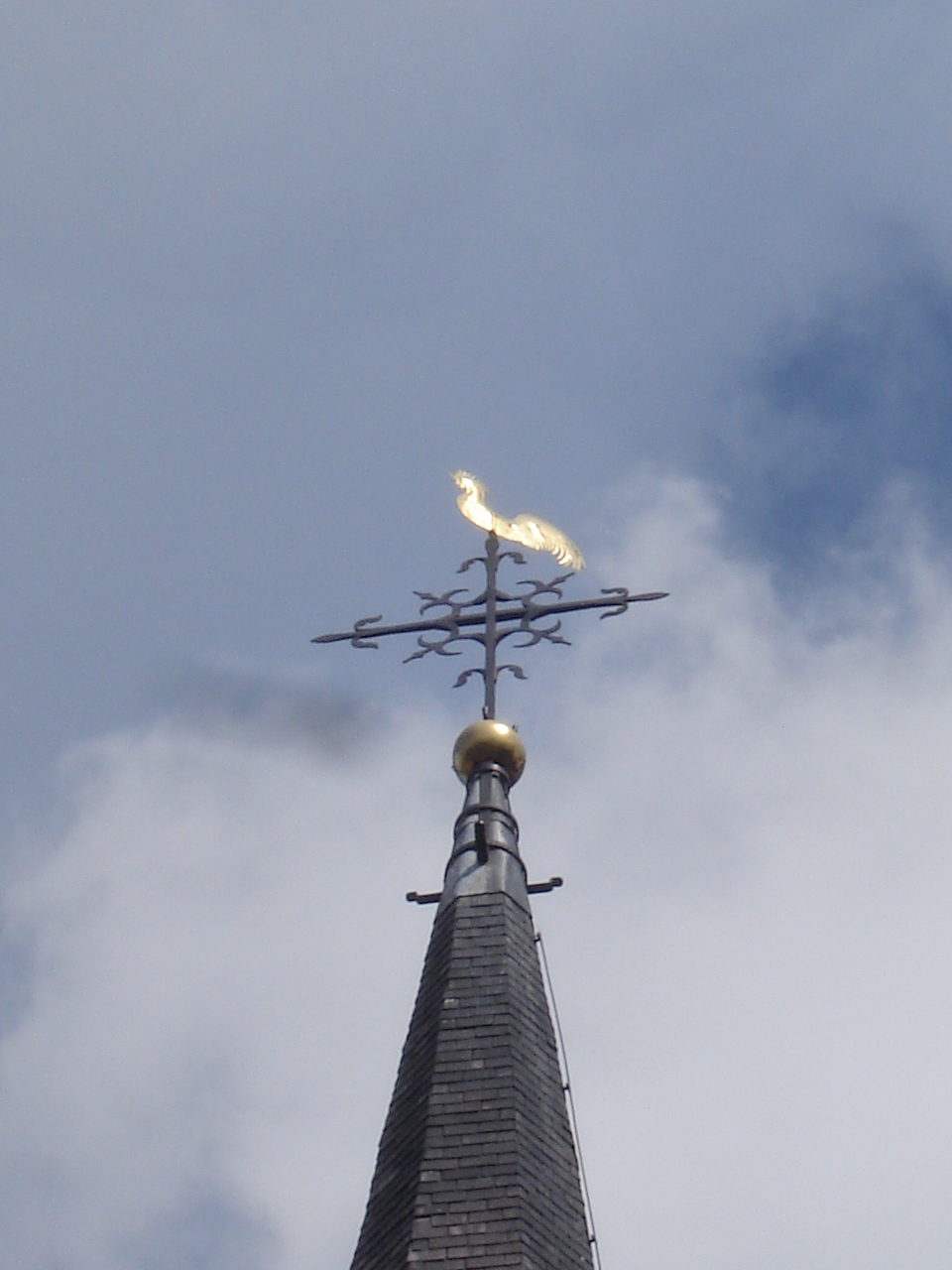 HWK 2009 130.jpg